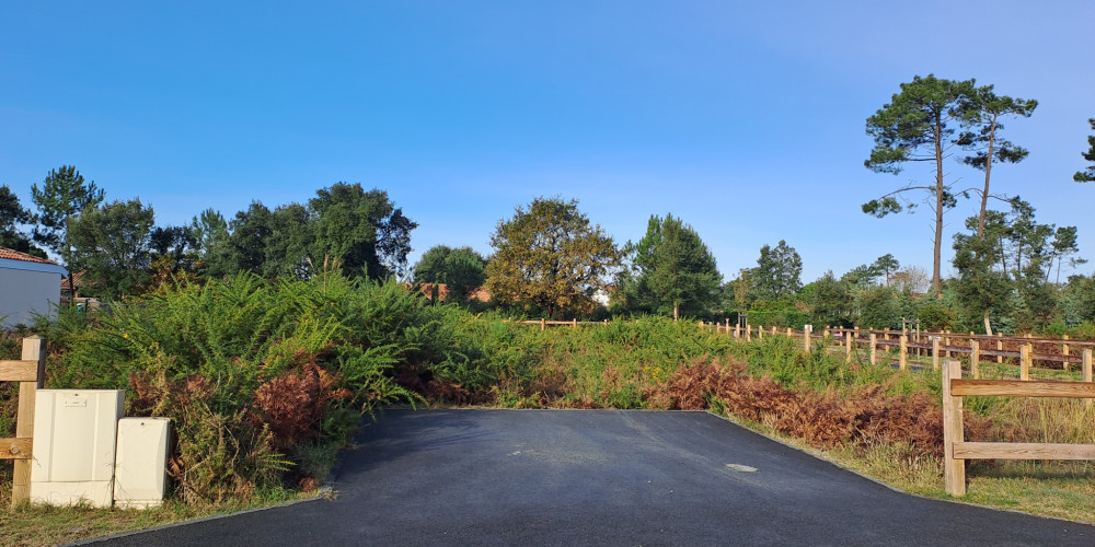terrain à MOLIETS ET MAA (40660)