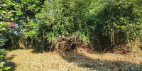 terrain à SANGUINET (40460)