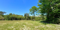 terrain à SEIGNOSSE (40510)