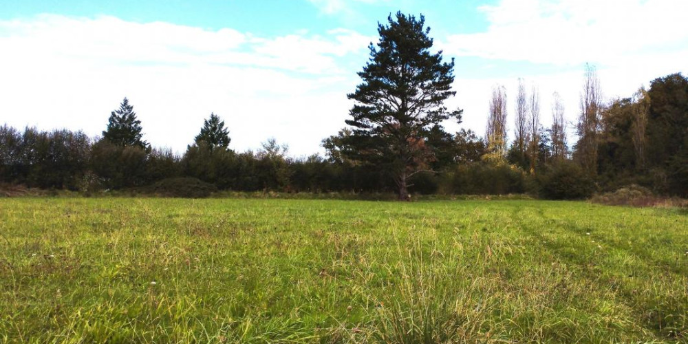 terrain à STE COLOMBE (40700)