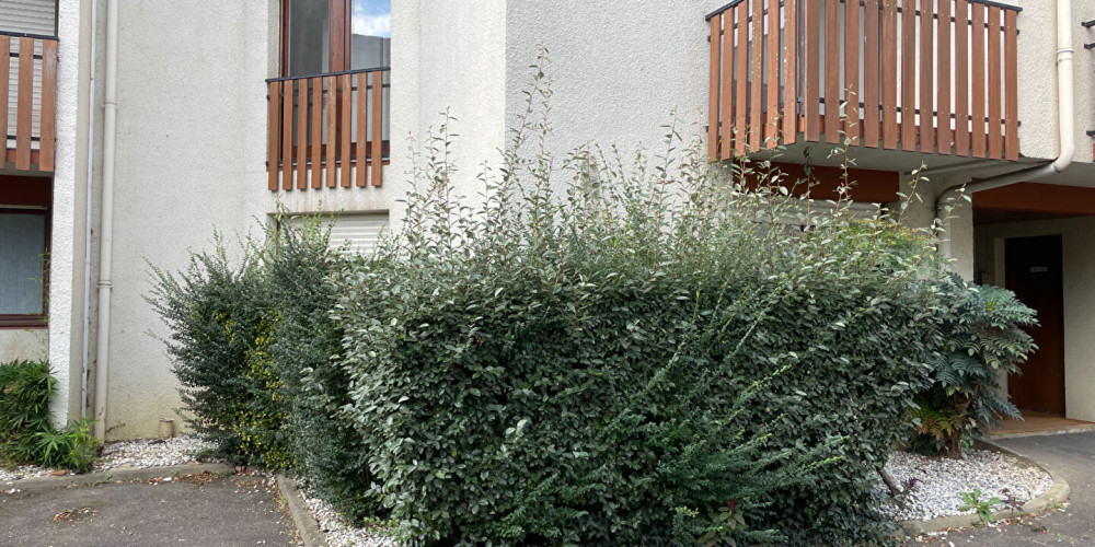 appartement à DAX (40100)