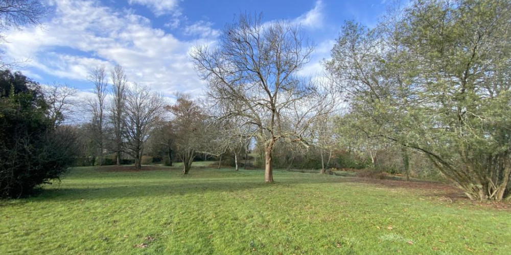 maison à AMOU (40330)