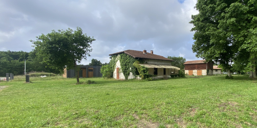 maison à SANGUINET (40460)