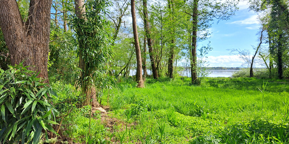 terrain à AZUR (40140)