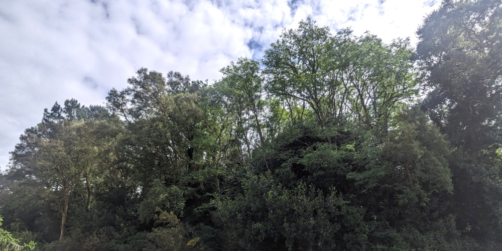 terrain à TARNOS (40220)
