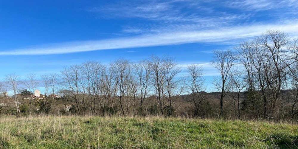 terrain à BELUS (40300)