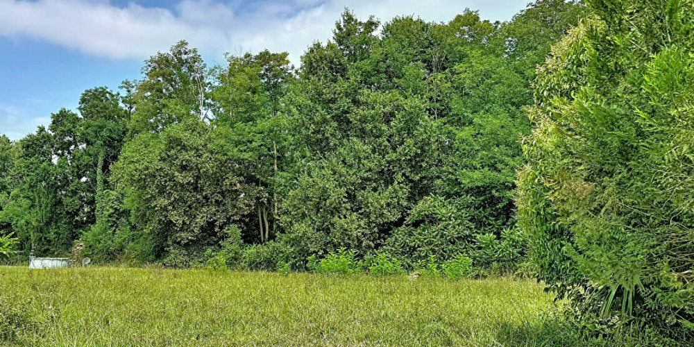 terrain à ORIST (40300)