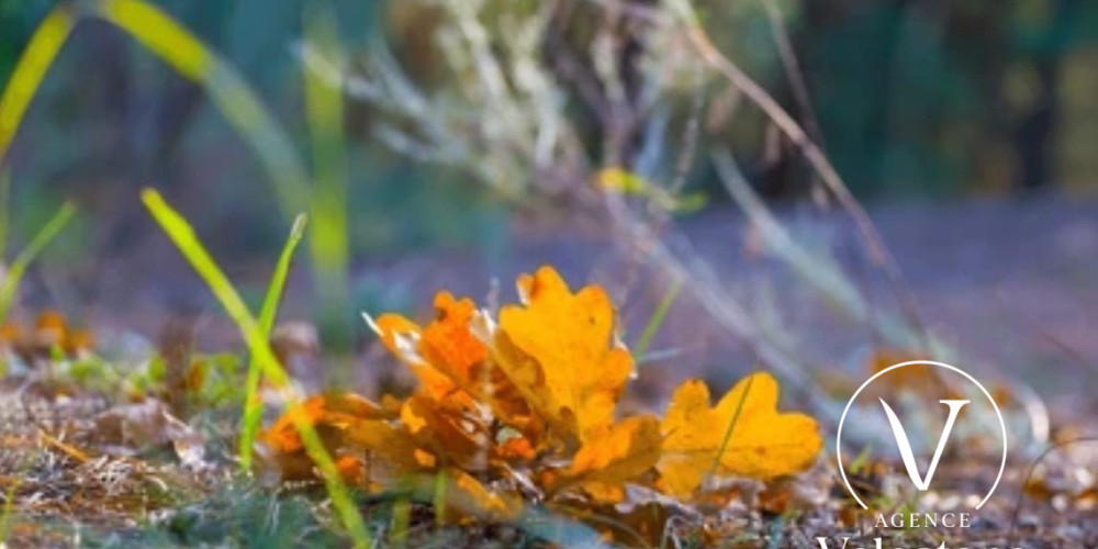 terrain à GEAUNE (40320)