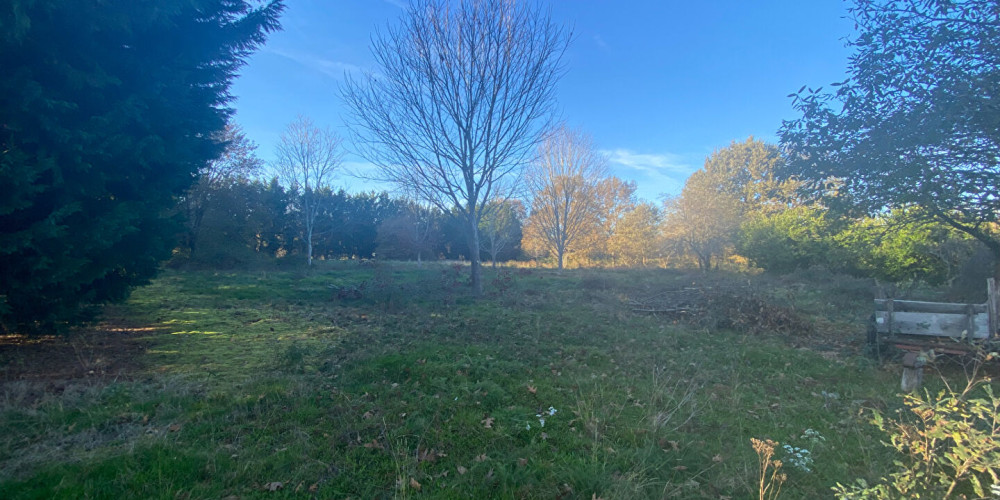 terrain à LIPOSTHEY (40410)