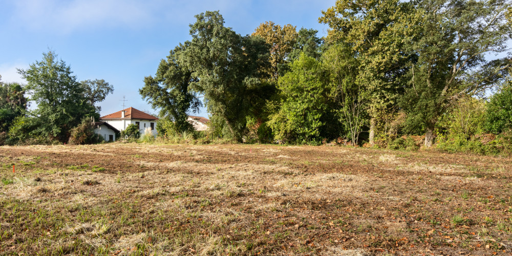 terrain à ONDRES (40440)