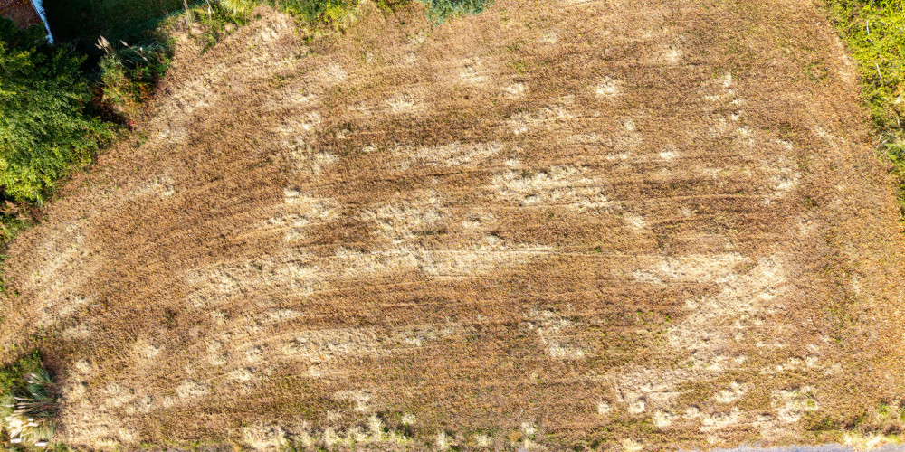 terrain à ONDRES (40440)