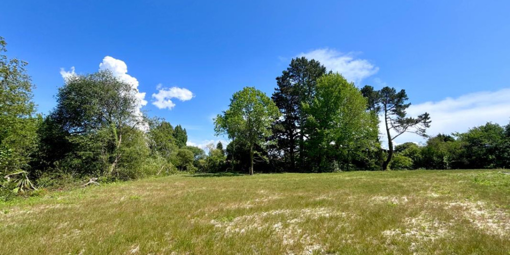 terrain à SEIGNOSSE (40510)