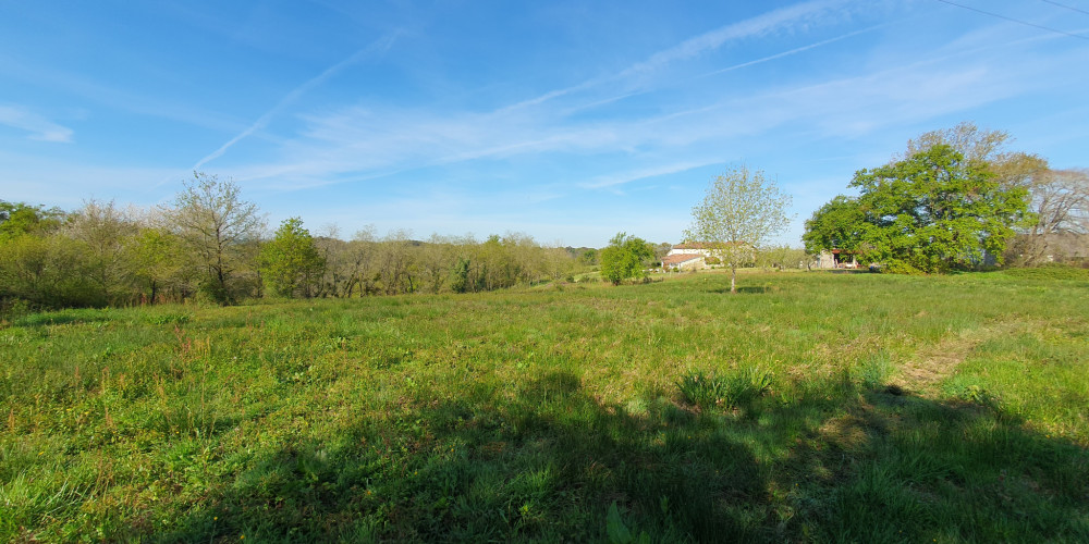 terrain à HAGETMAU (40700)