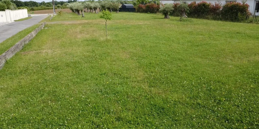 terrain à HAGETMAU (40700)