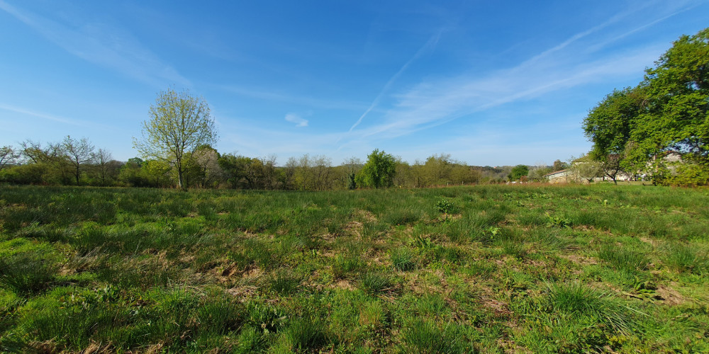 terrain à HAGETMAU (40700)