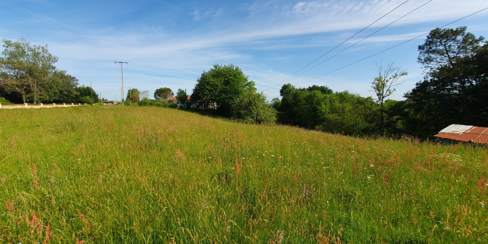 terrain à HAGETMAU (40700)