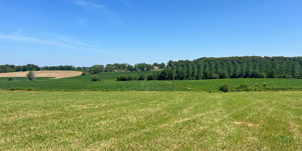 terrain à HAGETMAU (40700)