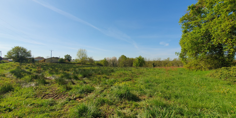 terrain à HAGETMAU (40700)