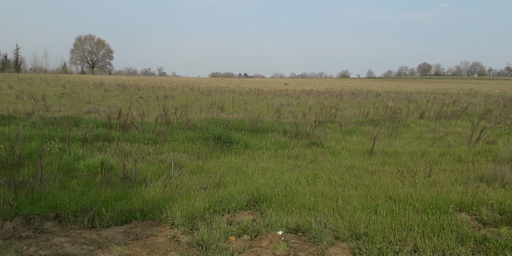 terrain à HAGETMAU (40700)