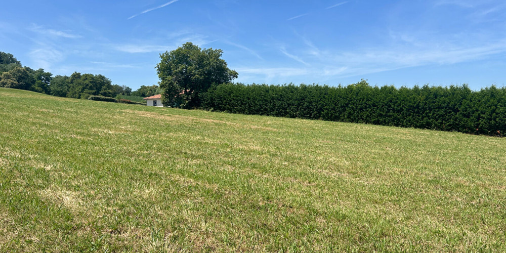 terrain à HAGETMAU (40700)