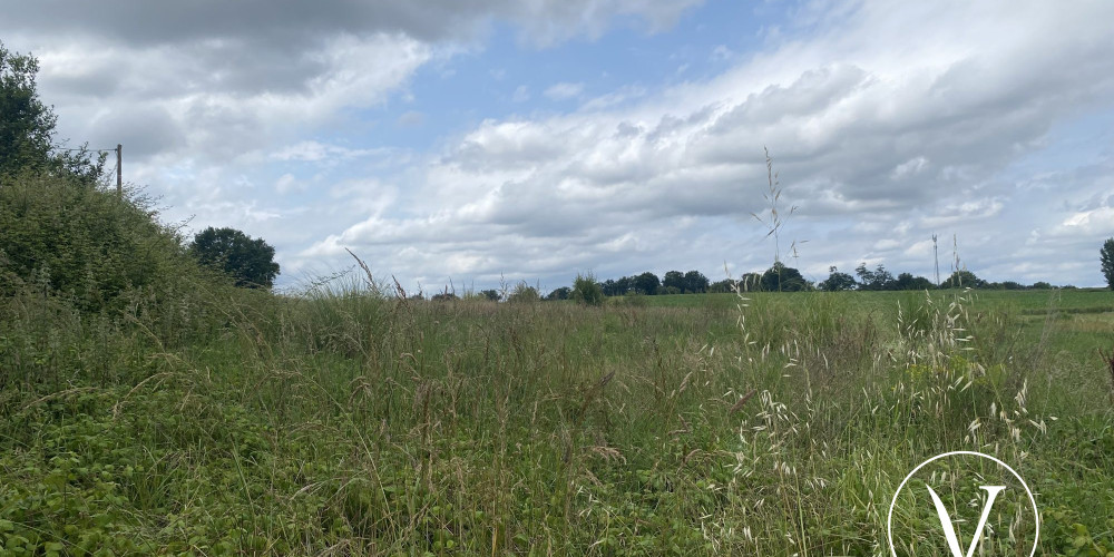 terrain à HAGETMAU (40700)
