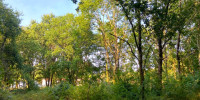 terrain à MORCENX (40110)