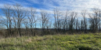 terrain à BELUS (40300)
