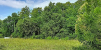 terrain à ORIST (40300)