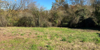 terrain à TARTAS (40400)