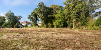 terrain à ONDRES (40440)