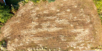 terrain à ONDRES (40440)