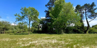 terrain à SEIGNOSSE (40510)