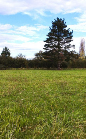Terrain  STE COLOMBE