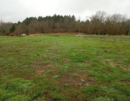 terrain  RION DES LANDES