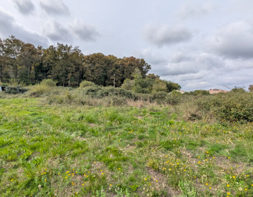 terrain  MONT DE MARSAN