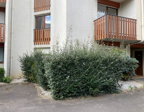 appartement  DAX