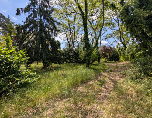 terrain  MONT DE MARSAN