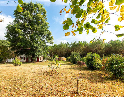 maison  AIRE SUR L ADOUR